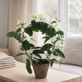 Kunstplant Stephanotis Blanc en situation