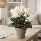 Plante artificielle Cyclamen Blanc en situation