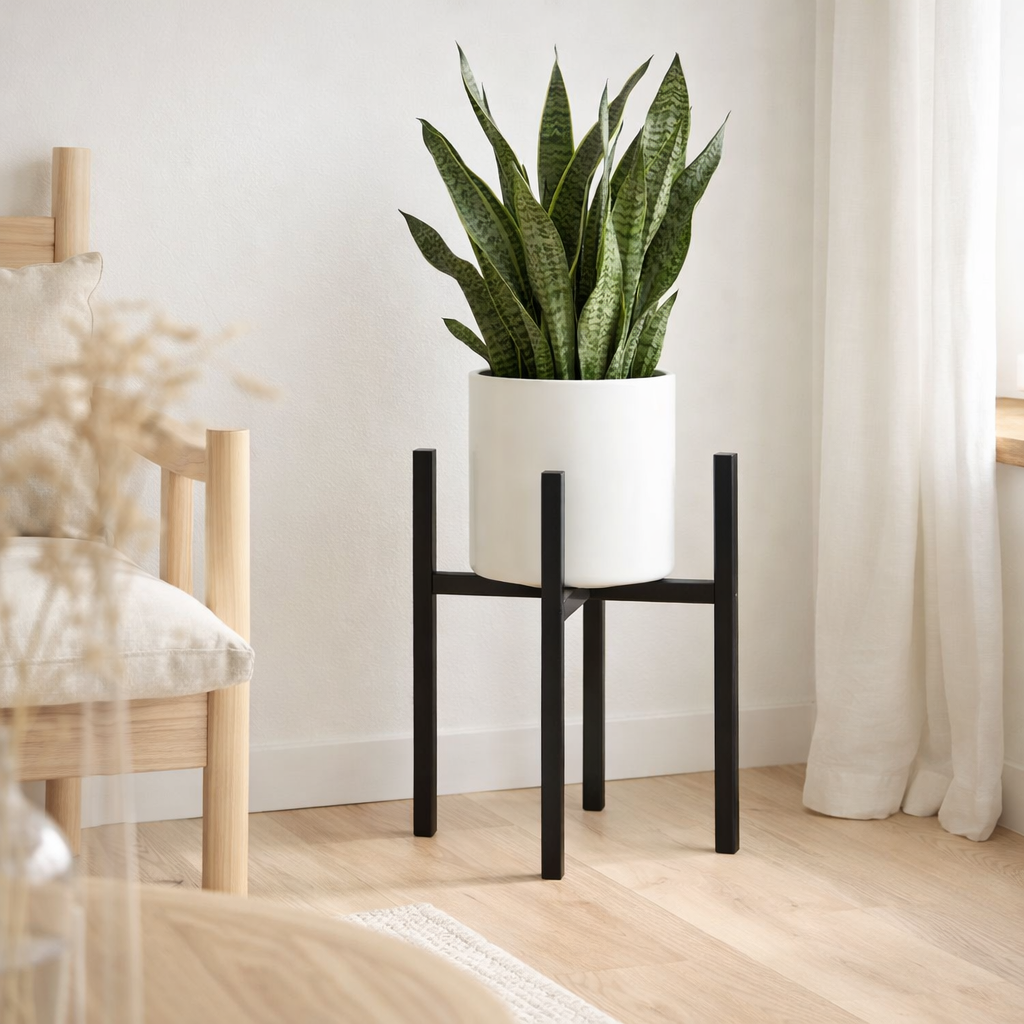 Support pour plantes Ascot Noir en situation