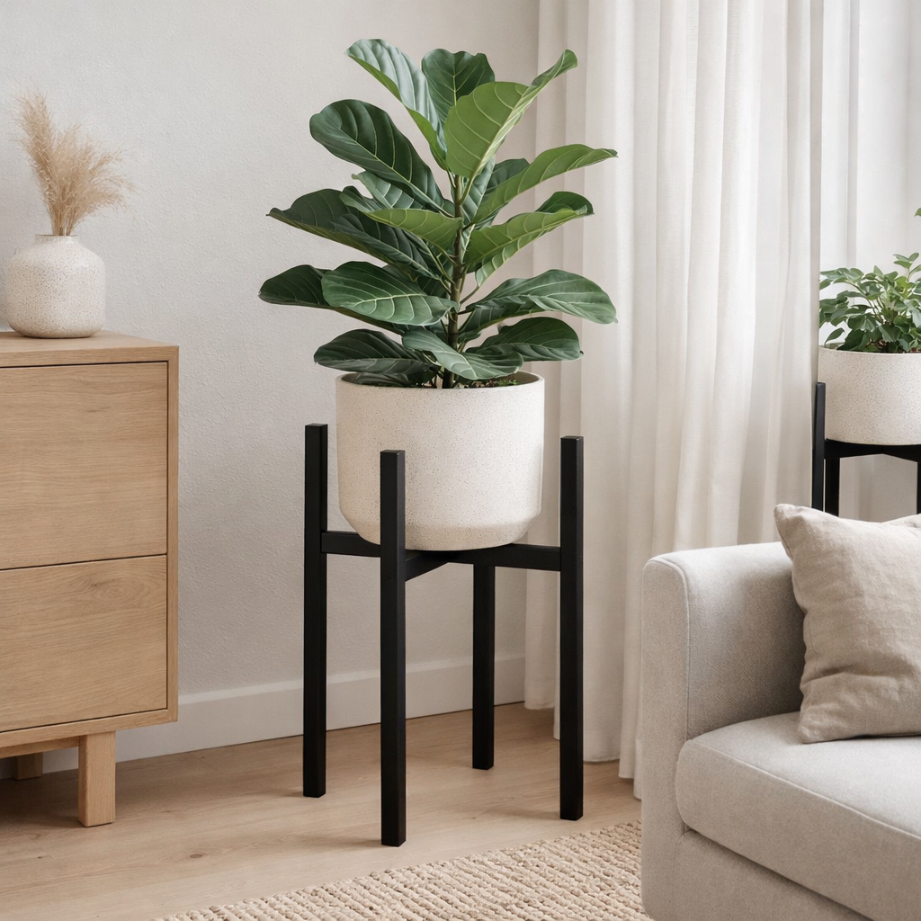 Support pour plantes Ascot Noir en situation