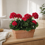 Plante artificielle Géranium Rose foncé en situation