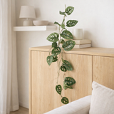 Plante artificielle Monstera verte en situation