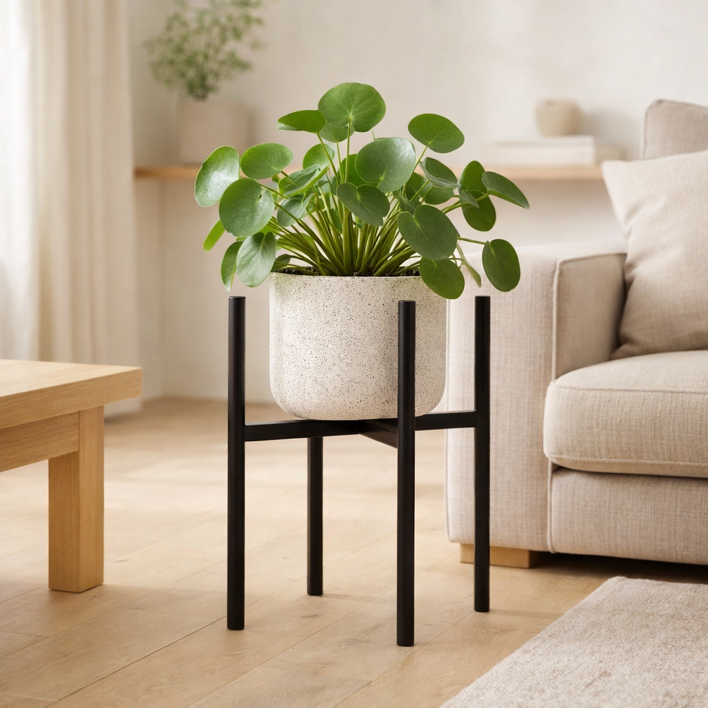 Support pour plantes Ascot Noir en situation