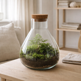 Pot de conservation Emily Transparent en situation
