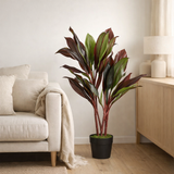 Plante artificielle Cordyline Rouge en situation