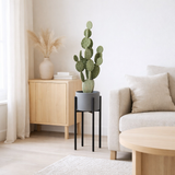 Support pour plantes Ascot Noir en situation