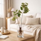 Plante artificielle Vert en situation