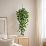 Plante suspendue artificielle Scindapsus suspendue Vert en situation