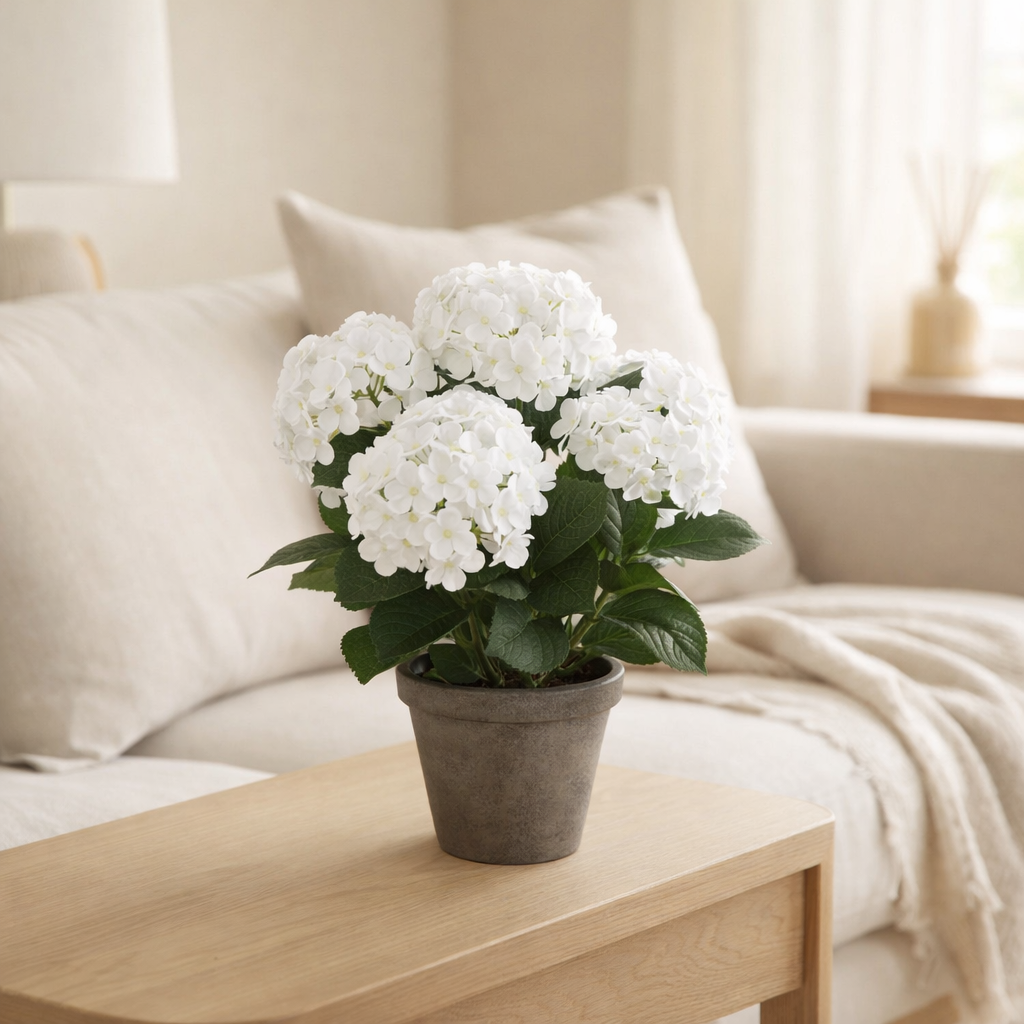 Plante artificielle Hortensia Blanc en situation