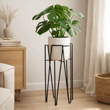 Support pour plantes Blom Noir en situation