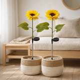 Lot de 2 piquets solaires Tournesols h : 78,5cm en situation