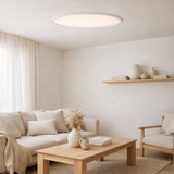 Plafonnier LED Sorrent Ovale 60x30 cm, en situation