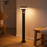 LAMPE SOLAIRE SOLAIRE LED Nora avec brochette de terre, pour l'extérieur, la brochette de terre en métal et en plastique en noir, avec LED intégrée en situation