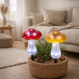 Brochettes décoratives solaires Set Mantar Ø 13 cm, 29 cm de haut, plastique transparent en rouge, jaune et transparent, LED intégrée, blanc froid en situation