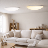 Plafond LED Darwin en situation