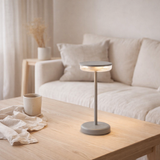 Batterie légère Pasi pour l'extérieur et à l'intérieur, en métal et en plastique en gris, dimmable, avec une fonction tactile et mémoire, env. 26 cm de haut en situation