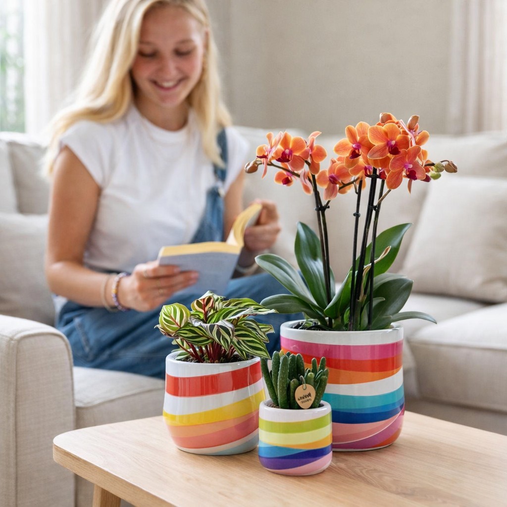 Maison Colibri | Pot décoratif de bonbons | Haut - Blanc - Ø6cm en situation