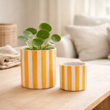 Maison Colibri | Rayure peinte - Orange - Ø9cm en situation