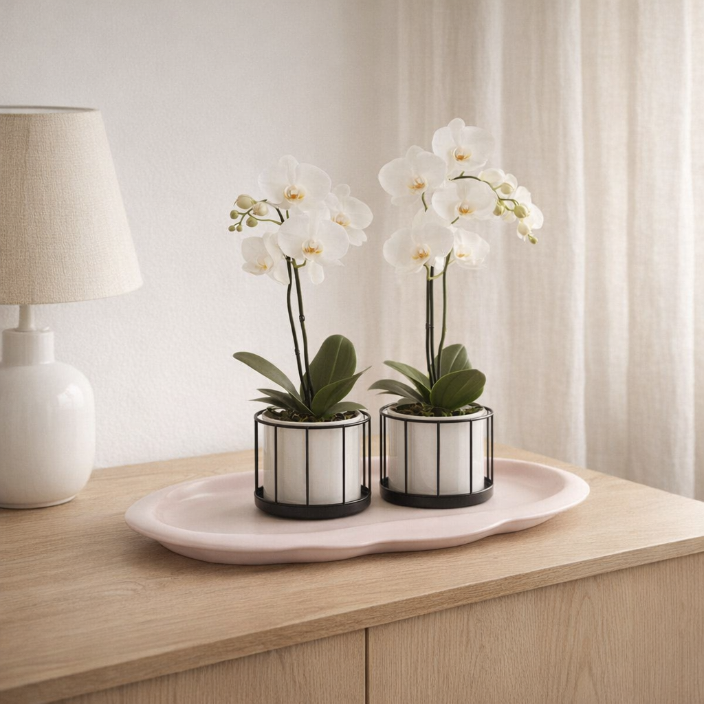 Assiette nuage ovale rose 30 cm en situation