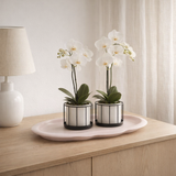 Assiette nuage ovale rose 30 cm en situation