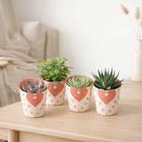 Plantes succulentes en cache-coeur - 4 pièces - Ø8,5cm - ↕11cm en situation