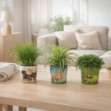 Animal Mix (Pet Candy) - 3 pièces - Ø12cm - ↕30cm en situation