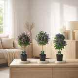 Plantes en pot Mélange Bleu / Violet - 3 pièces - Ø19cm - ↕75cm en situation