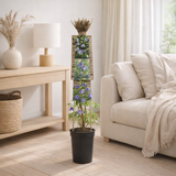 Clematis Alpina +3.0 Label - Ø17cm - ↕75cm en situation