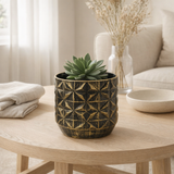 Cache-pot cylindrique en céramique noir Ø15 cm en situation