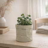Plantbag Jade - D18 en situation