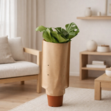 Monstera en manche en papier - Ø21 cm - ↕60cm en situation