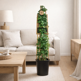 Hedera Helix +3.0 Label - Ø17cm - ↕75cm en situation
