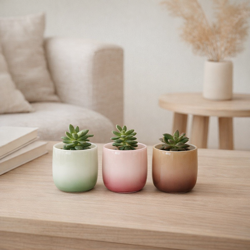 Kolibri Accueil | Pot en verre Gradience - Vert - Ø6cm en situation