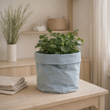 Cache-pot Plantbag vintage bleu en situation