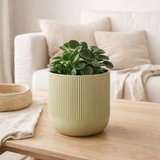 Home Kolibri | Flare Sierpot - Green - Ø9cm en situation