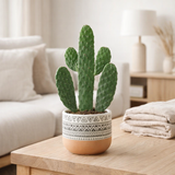 Opuntia rubescens consolea dans la nouvelle céramique azteca - Ø13cm - ↕35cm en situation