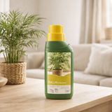 Engrais pour plantes de palmier 250ML en situation