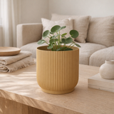 Cache-pot Elho pliable jaune 18 cm en situation
