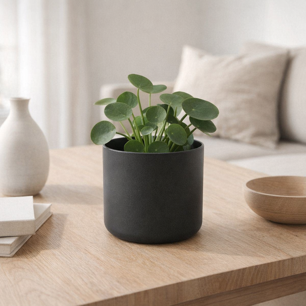 Elho B.Pour Soft Antraciet - 14cm en situation