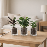 INTTENZ Mélanger en cas d'or - 3 pièces - Ø7cm - ↕25cm en situation