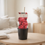 Framboisier Rubus 'Malling Promise' - Ø12 cm - ↕30 cm en situation