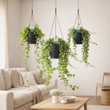 Hedera Helix Air mixte So Pure - Ø19cm - ↕cm en situation