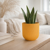 Cache-pot rond en plastique jaune ambre en situation