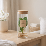 Inclusion dans un tube en verre M - Ø12cm - ↕30cm en situation