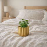 Pot de fleur J-Line Ribbed - ciment - or - petit en situation