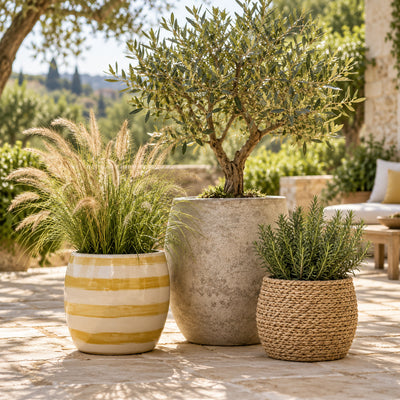 Pots de fleurs d'extérieur