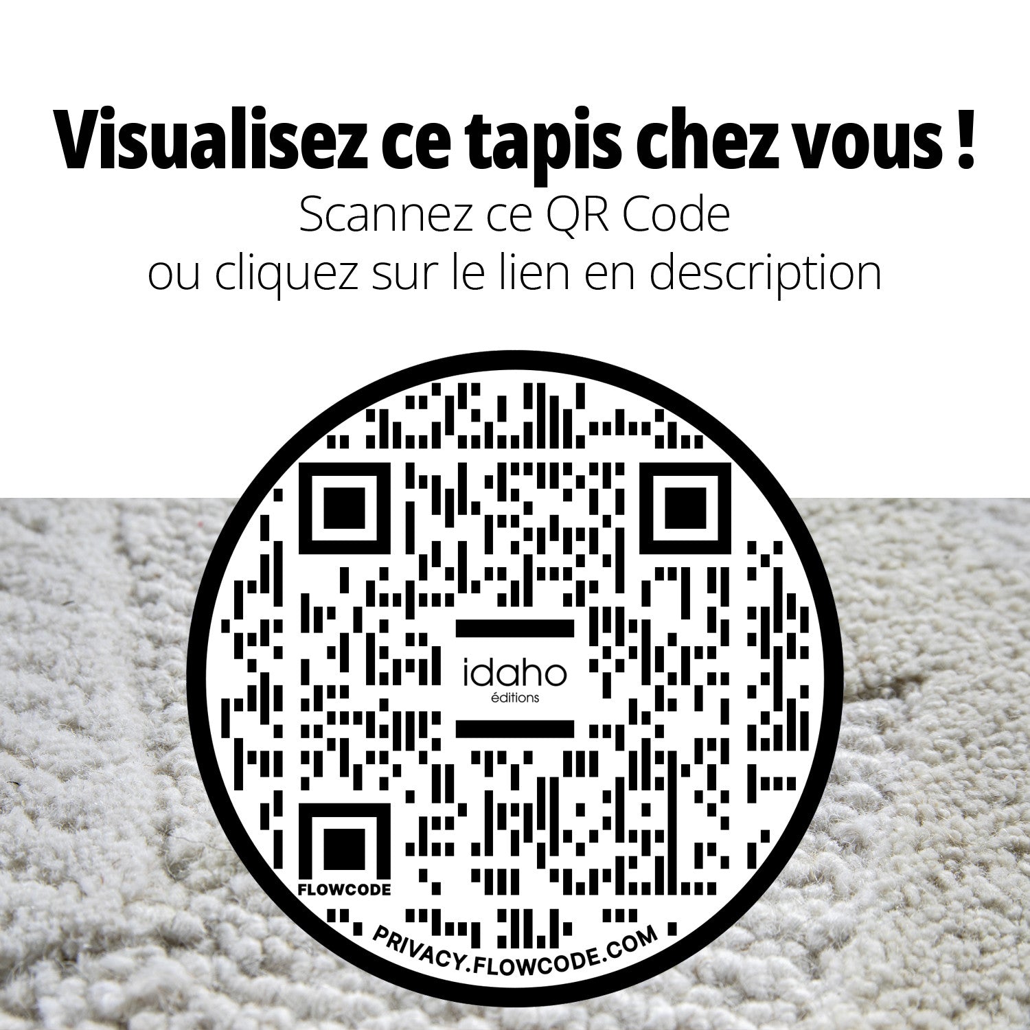 Tapis Bhoutan mis en valeur dans un intérieur élégant